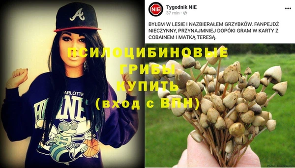 apvp Новозыбков